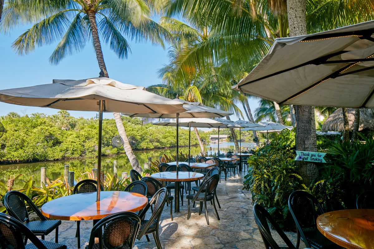 The bright daytime waterfront terrace — round tables with orange-lacquered tops and big canvas umbrellas beside the mangrove channel and palms
