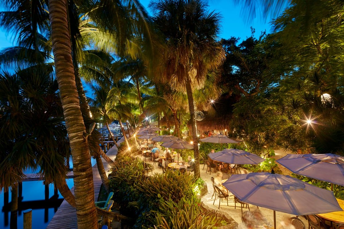 Elevated blue-hour view over the umbrella-covered dining terrace with lush jungle planting and sun-star lights through the palms